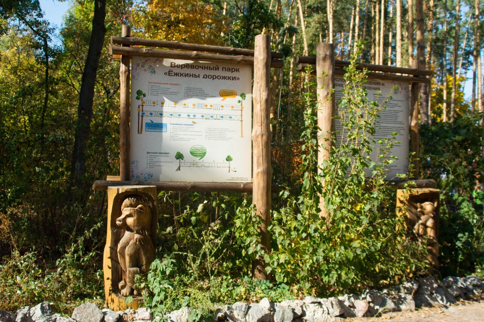 Городок в воронежском заповеднике. Тропа Заповедная сказка Воронежский заповедник. Черепахинская эко-тропа Графский заповедник. Экотропа.Воронежский заповедник Пескова. Воронежский заповедник «Черепахинская».