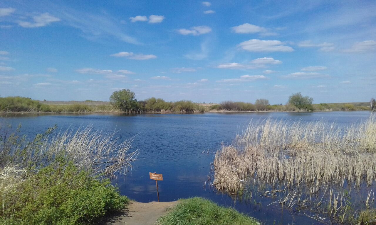 Озеро патронное курганская область