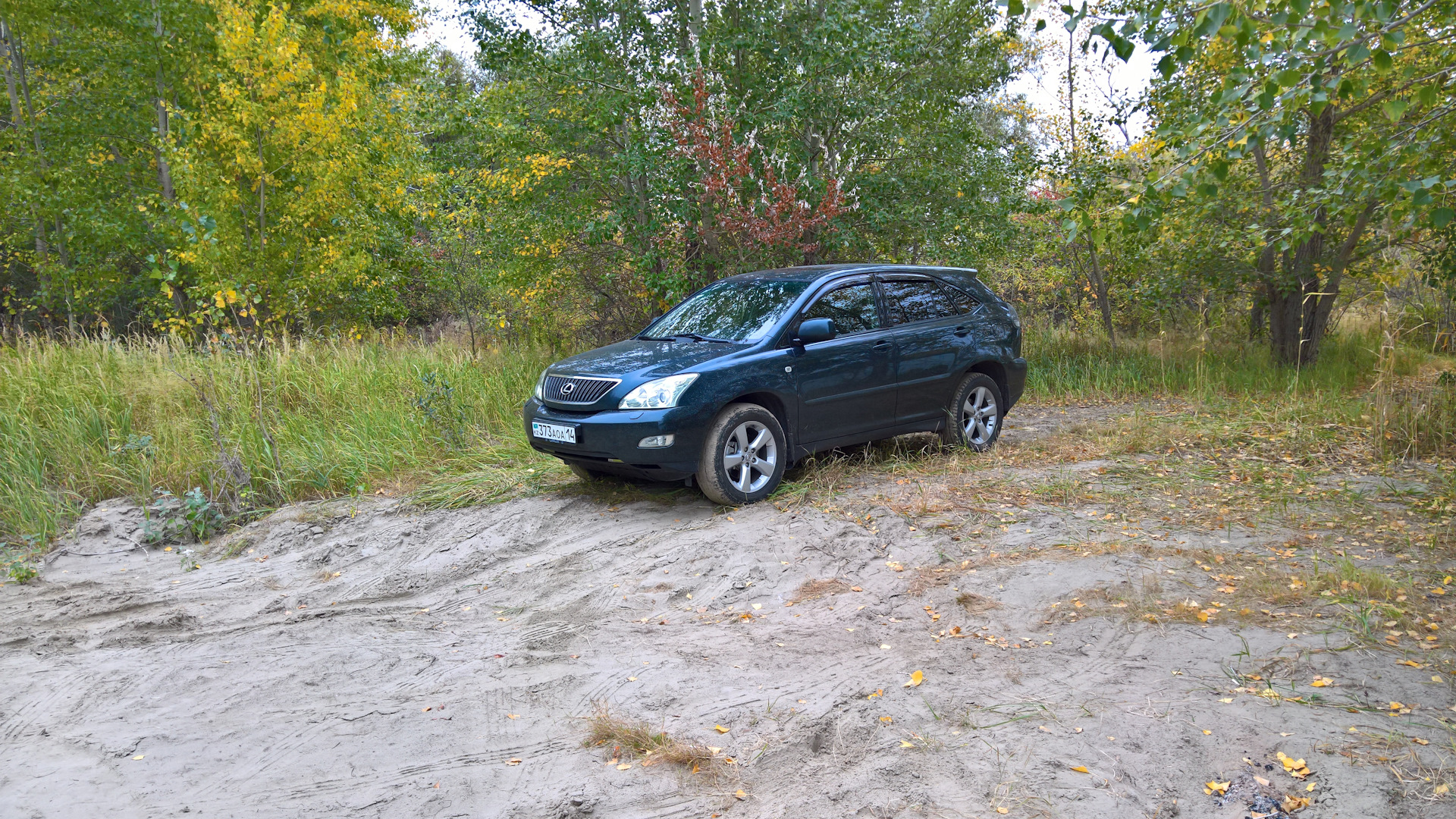 Lexus RX (2G) 3.0 бензиновый 2004 | на DRIVE2