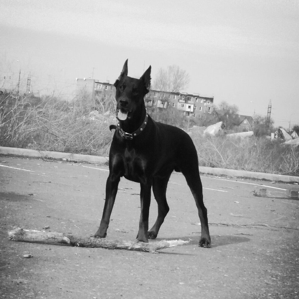 Дело было вечером делать было нечего😎😊😊😊 — Lada Приора седан, 1,6 л ...