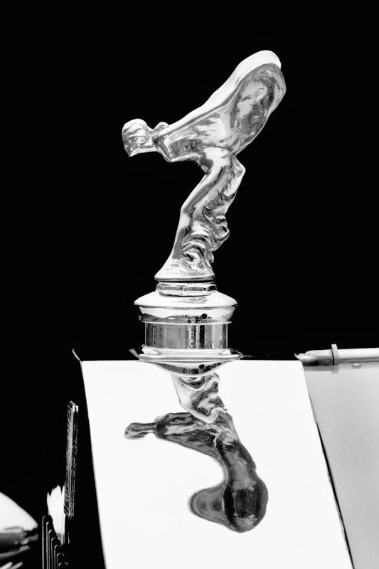 Dildo Hood Ornament