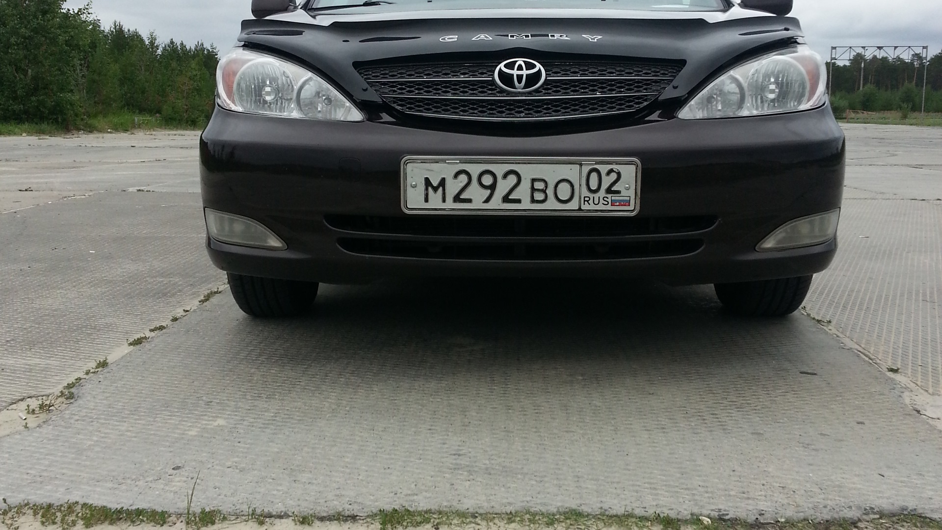 Toyota Camry (XV30) 2.4 бензиновый 2003 | Стрекоза 2.4 на DRIVE2