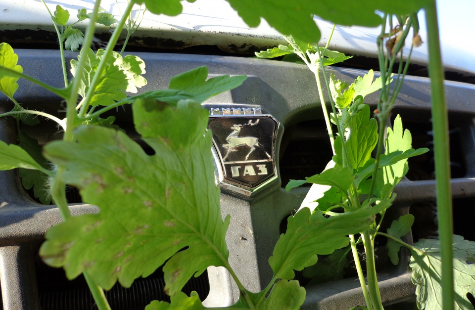 значек — ГАЗ Валдай, 2008 года | тюнинг | DRIVE2