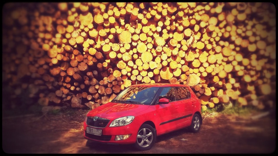 Skoda Fabia Skodnik "Вася"