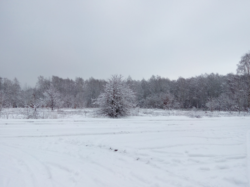 Из городской грязи в зимний парк (лоно природы, как средство успокоения ...