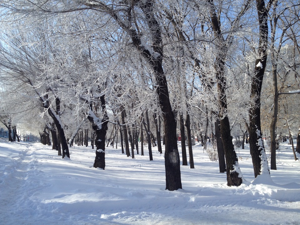 Хабаровск Зима Фото Хабаровск Зима Фото