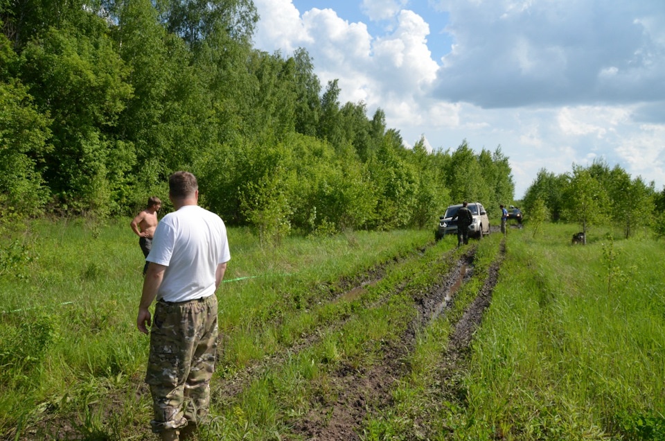 ,, Холодильник, , сидит — KIA Sportage (3G)