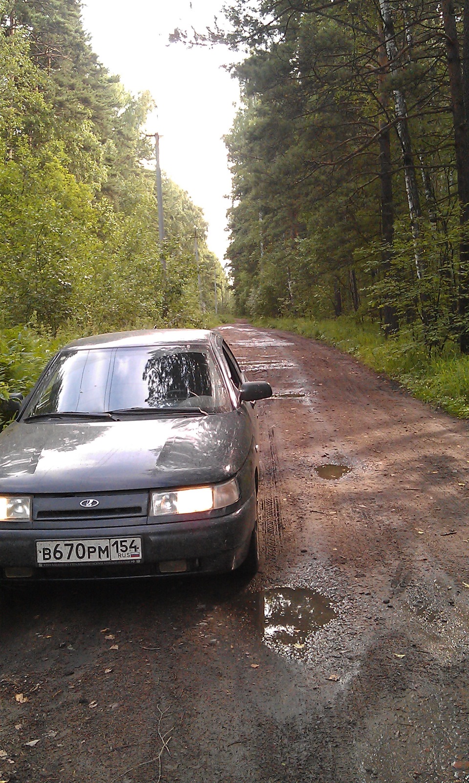 Съездили за черникой в сосновый бор. — Lada 21104, 1,6 л, 2004 года |  просто так | DRIVE2