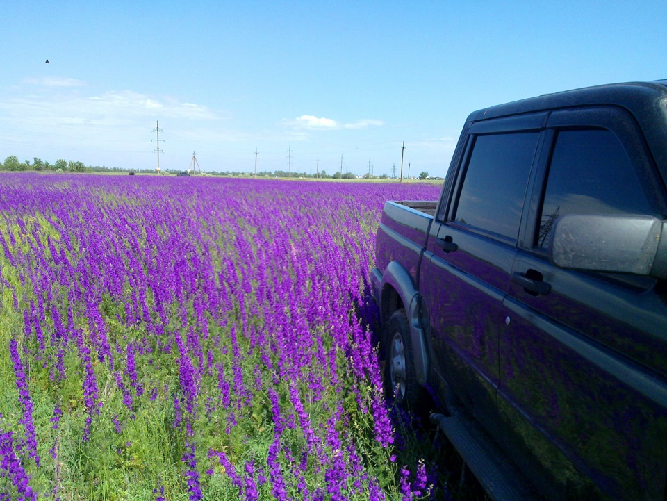 Первый OFFROAD — УАЗ Pickup, 2,7 л, 2008 года | путешествие | DRIVE2