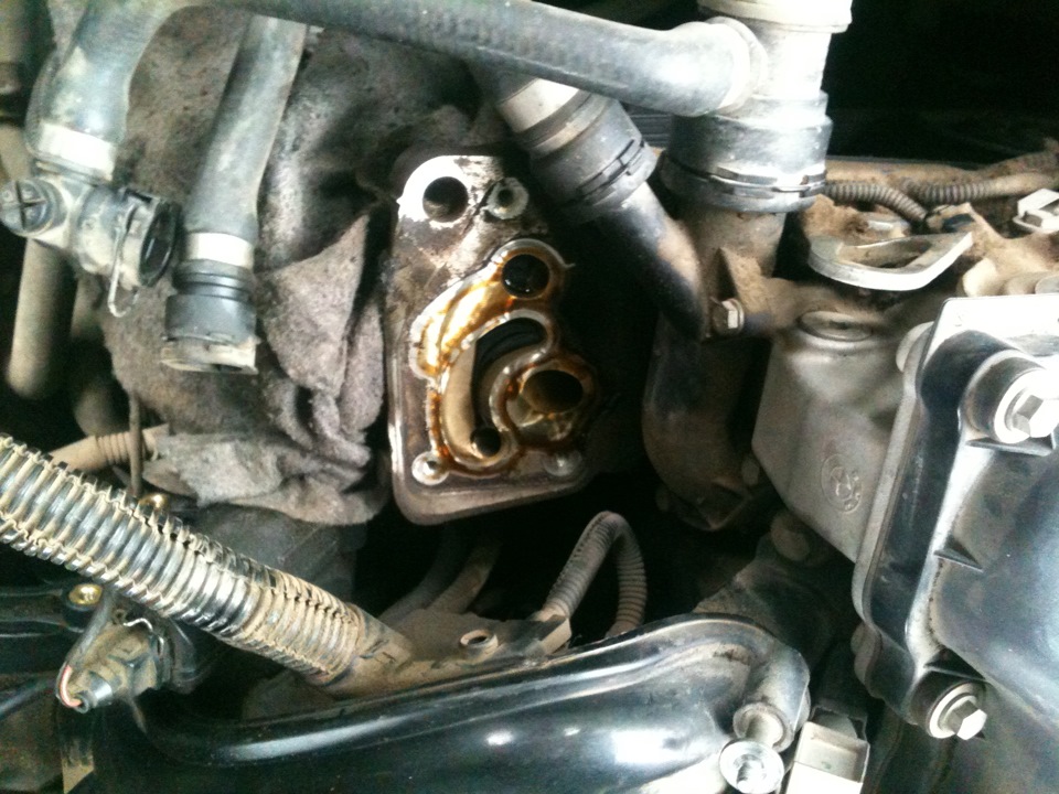 Фото в бортжурнале BMW 3 series (E46)