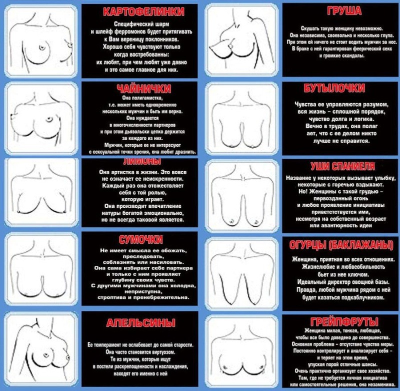 Характер по груди: как его определить, что расскажет о женщине форма ее бюста