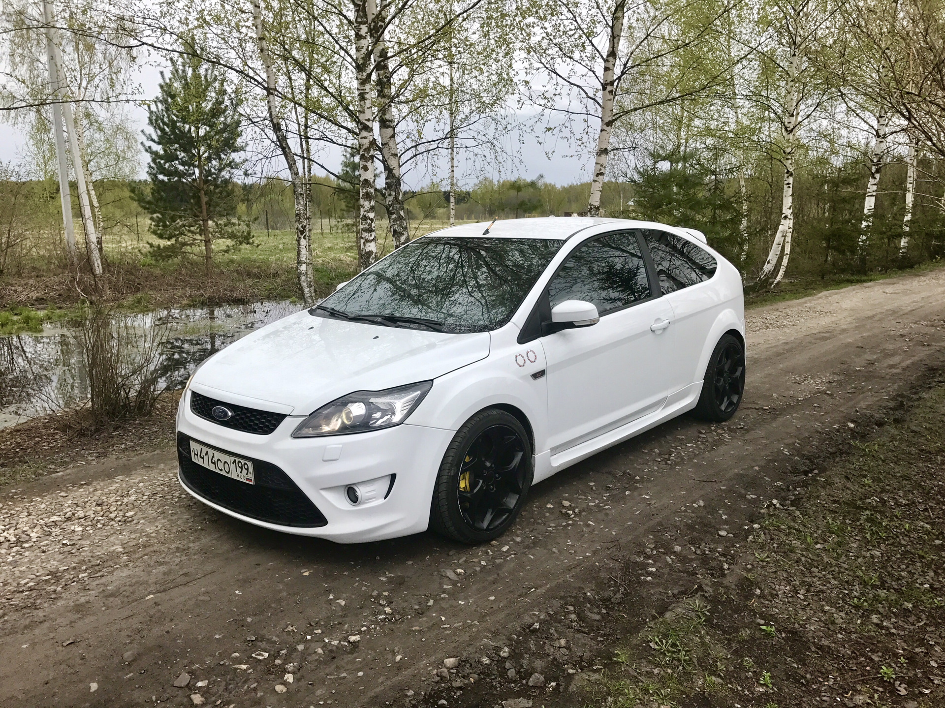 Focus edition