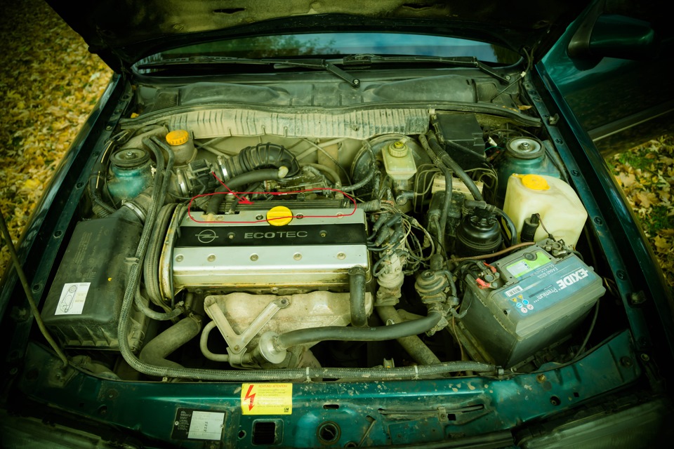 Вектра б 1.8 бензин. Opel Vectra 1995 под капотом. Опель Вектра а 2.0 подкапотка. Опель Омега а 2.0 под капотом. Опель Вектра б 1.6 под капотом.