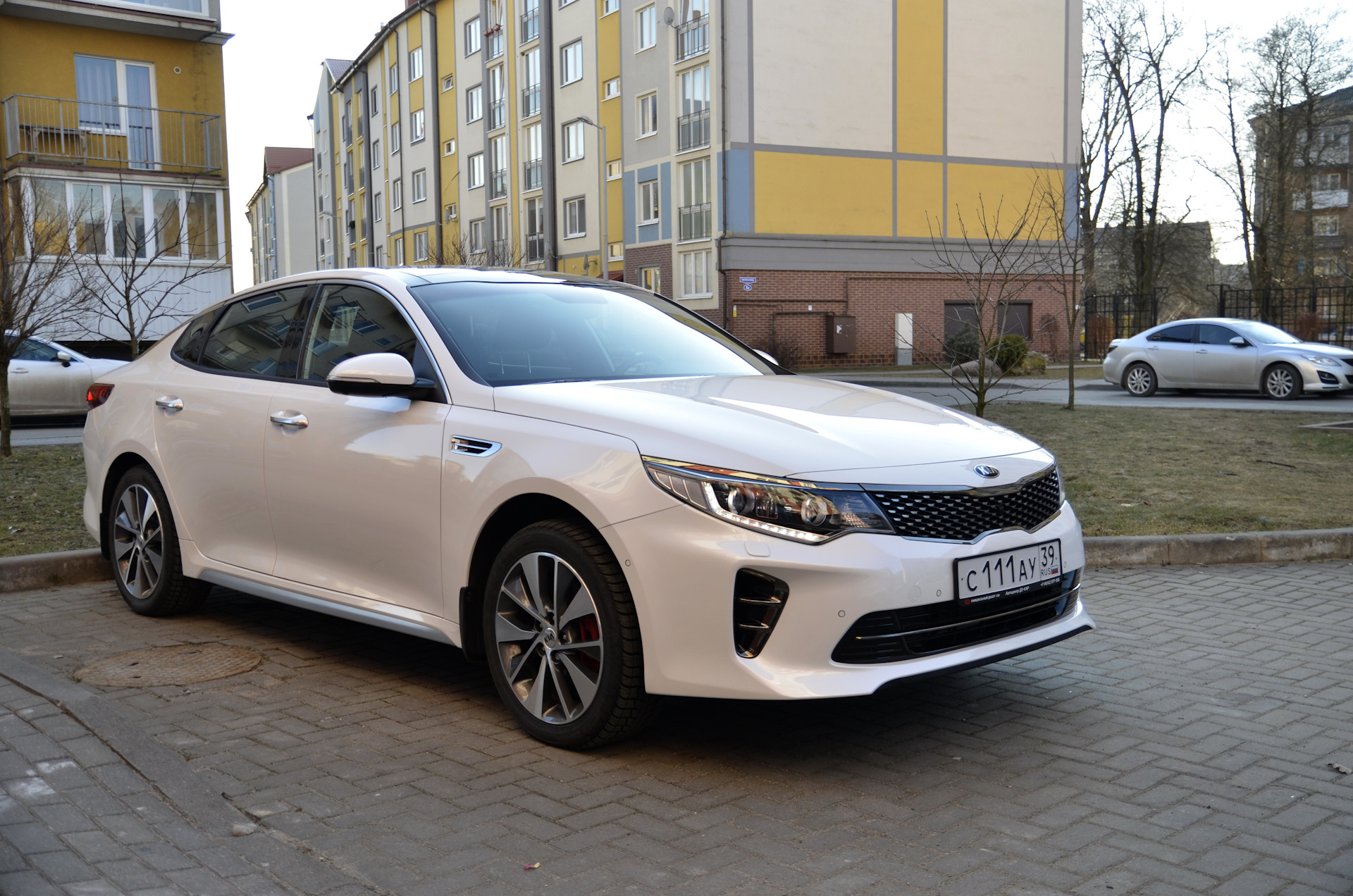 Авито кия. Киа Оптима 772 196. Киа Оптима 116. Китайская Киа Оптима. Kia Optima номер 555.