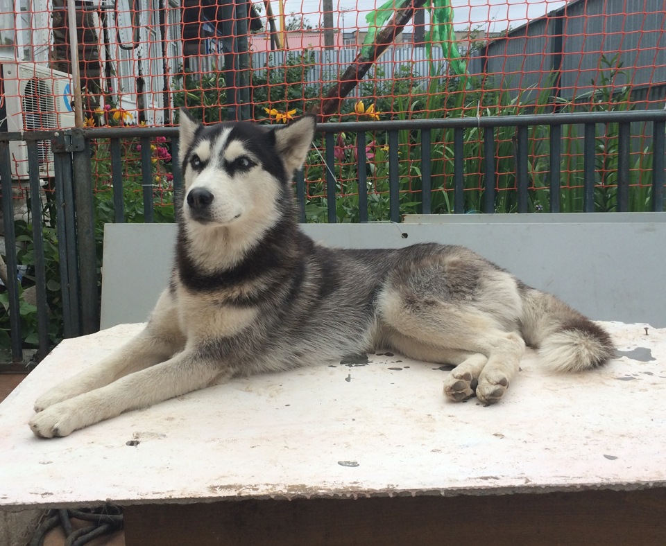 13f65f4s 960 для чего обматывать паук термолентой