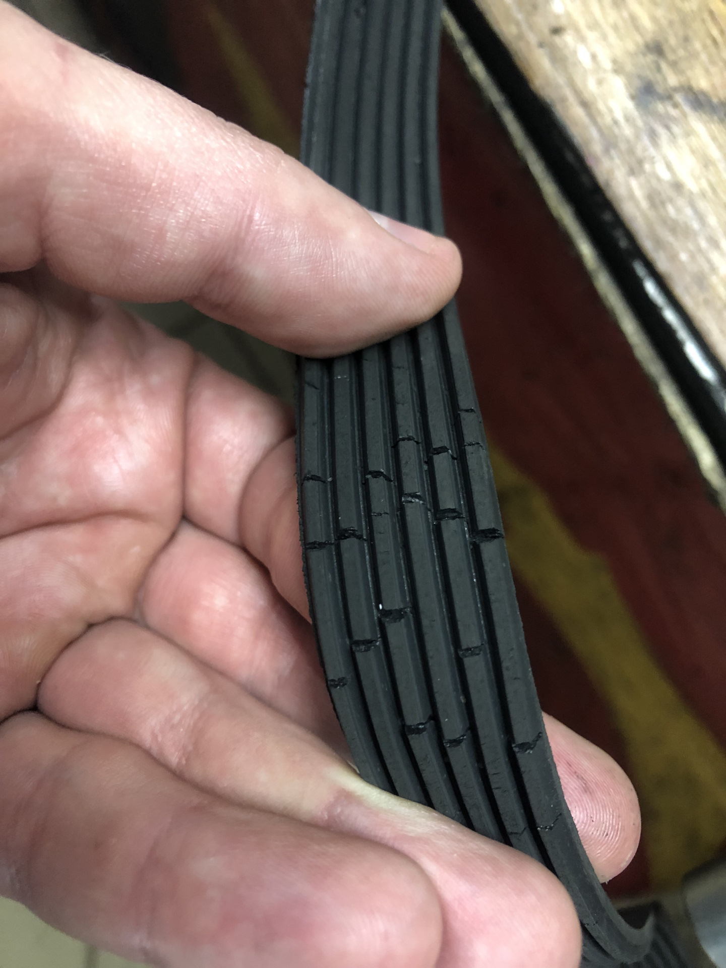 Замена поликлинового ремня + Замена задних втулок стабилизатора ...