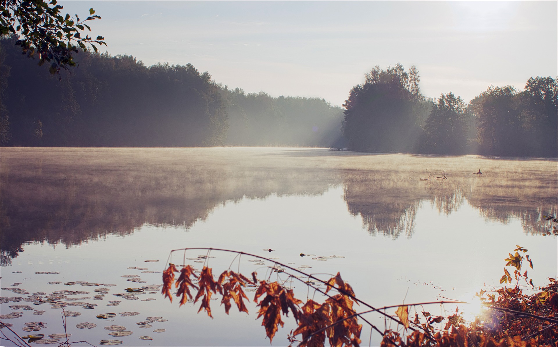 Фотоистория о поездке в Саратов — Nissan Skyline (V35), 2,5 л, 2002 ...