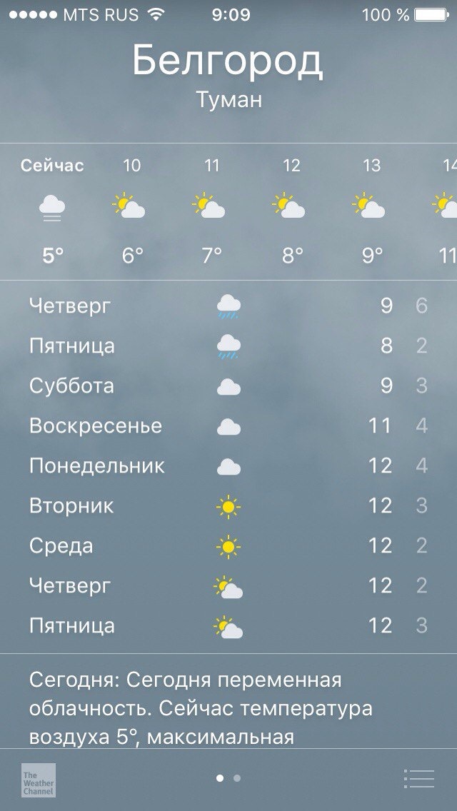 Предсказания белгород в ближайшее время. Погода в Белгороде. Омода Белгород.