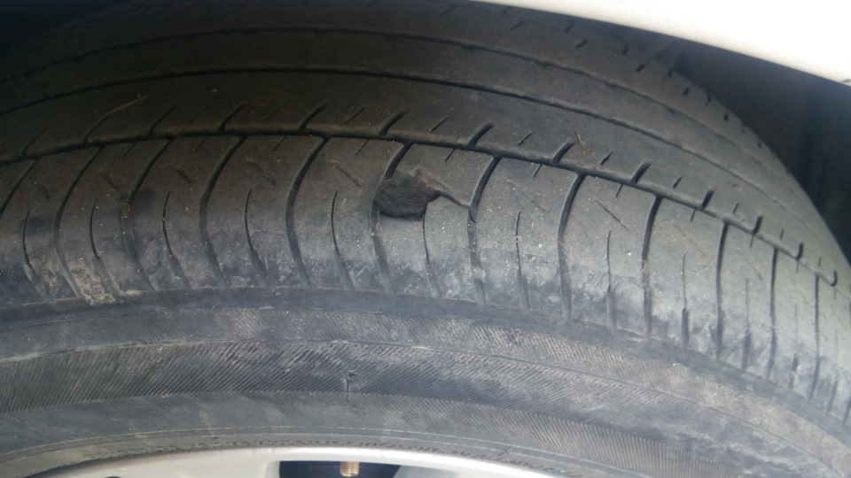 надежность шин Yokohama — Toyota Camry (XV50), 2,5 л., 2012 года | шины ...