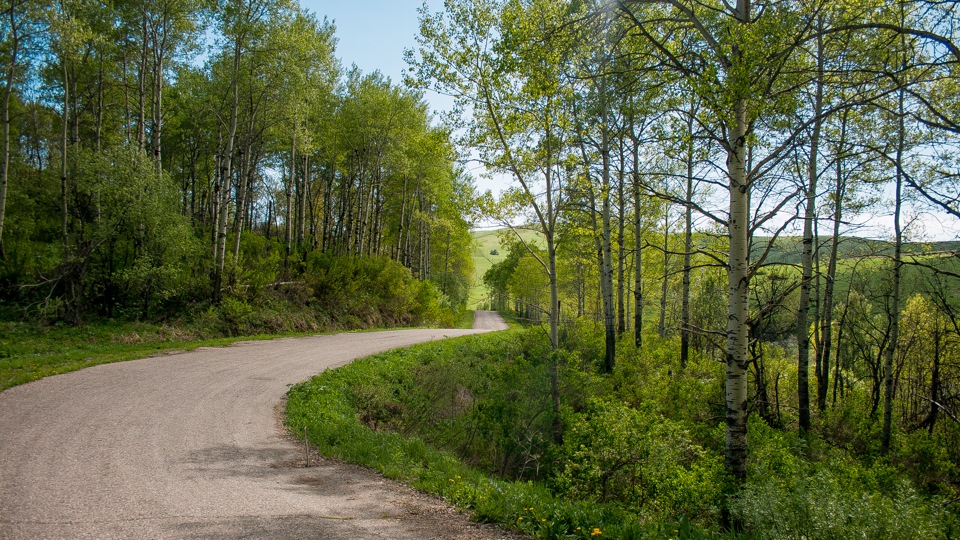 Old Route in the summer 