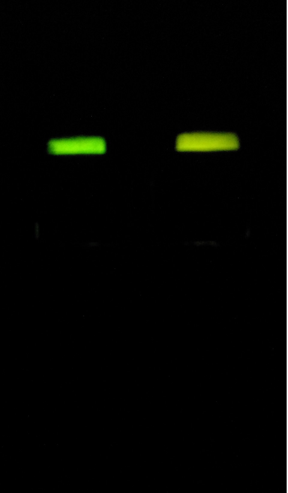 Подсветка кнопок стеклоподъемника — Daewoo Lanos, 1,5 л, 2003 года ...