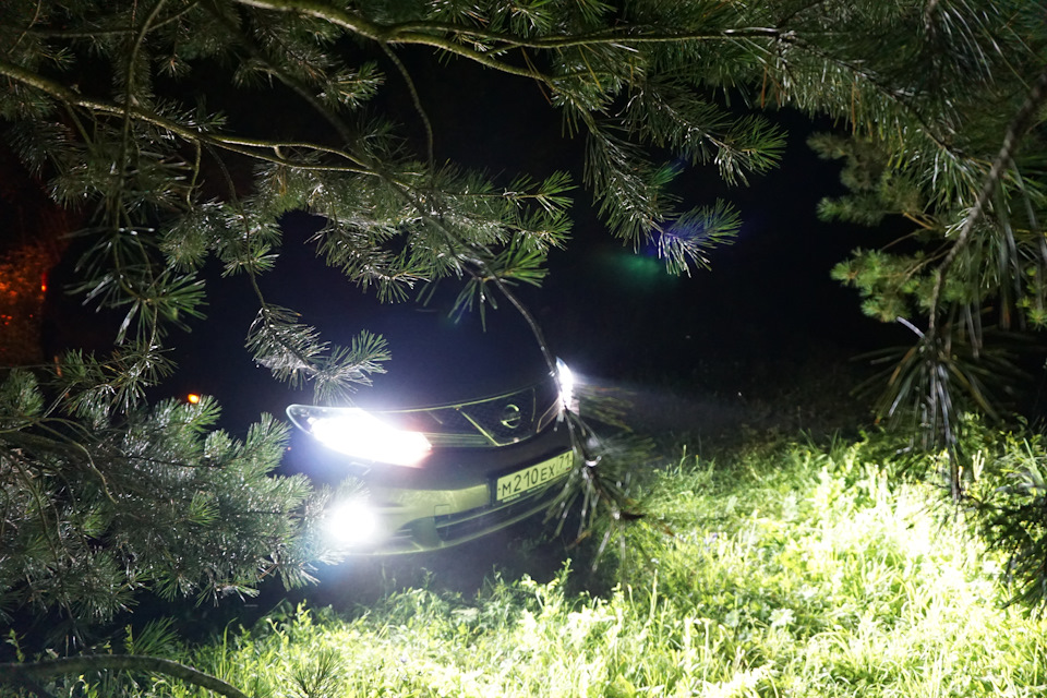 Фото в бортжурнале Nissan Murano II