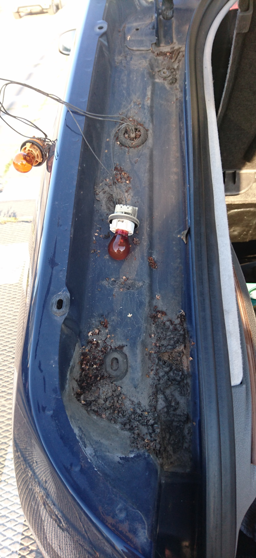 Аварийное открытие багажника и чистка ниш задних фонарей. — Ford Focus ...