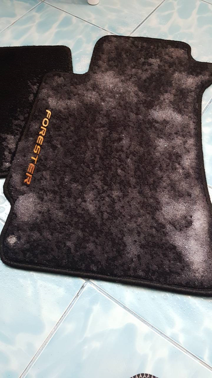 Наносил брызгалкой. Ждем, трем щеткой. Промываем. — Subaru Forester (SG)