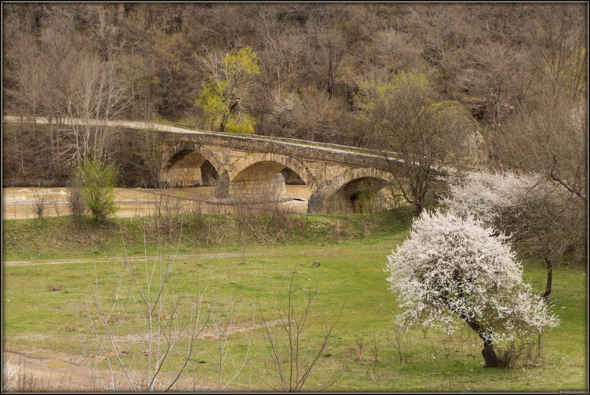 Фото станица даховская