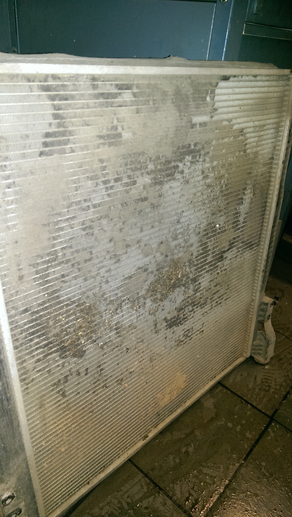 Когда дышать ему нечем — KIA Mohave, 3 л, 2011 года | плановое ТО | DRIVE2