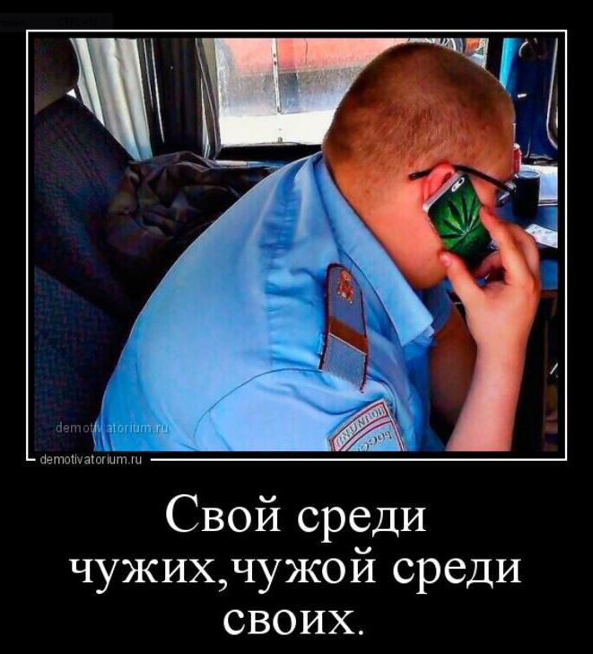 С друзьями пьешь не трожь