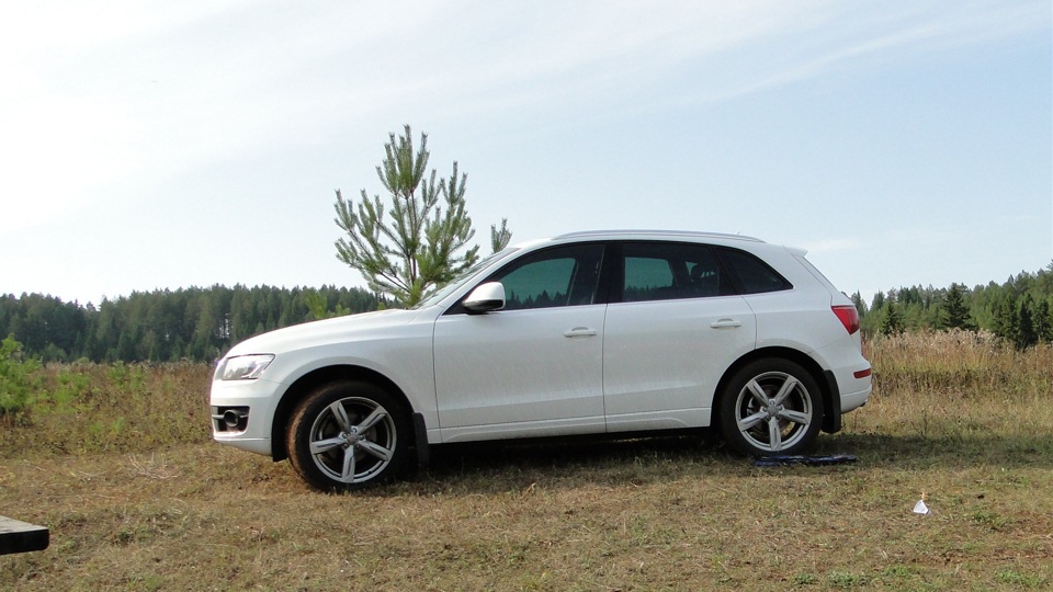 Бел 2. Ауди q5 белая. Ауди q5 белый тонированный. Audi q5 на дисках белая. Ауди q5 белый на дисках r20.