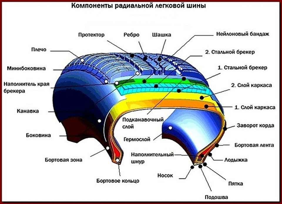 Плечевая зона шины