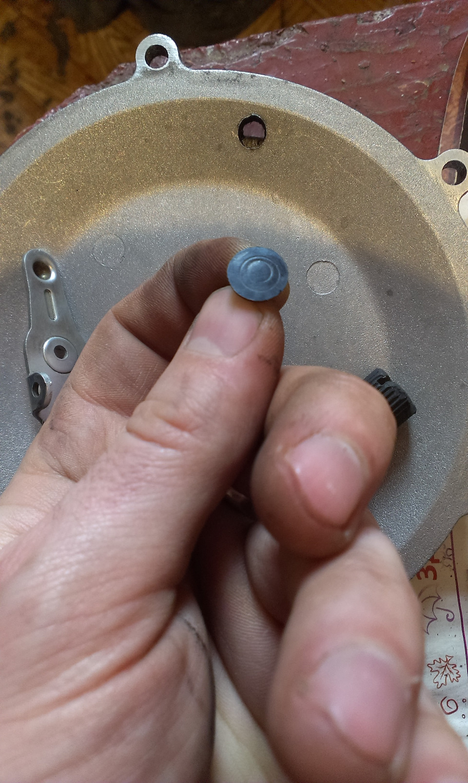 Фото в бортжурнале ЗАЗ 1103