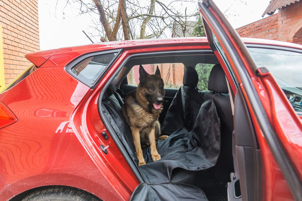 Перевозка собаки в машине. — KIA Ceed (2G), 1,6 л, 2014 года | другое ...
