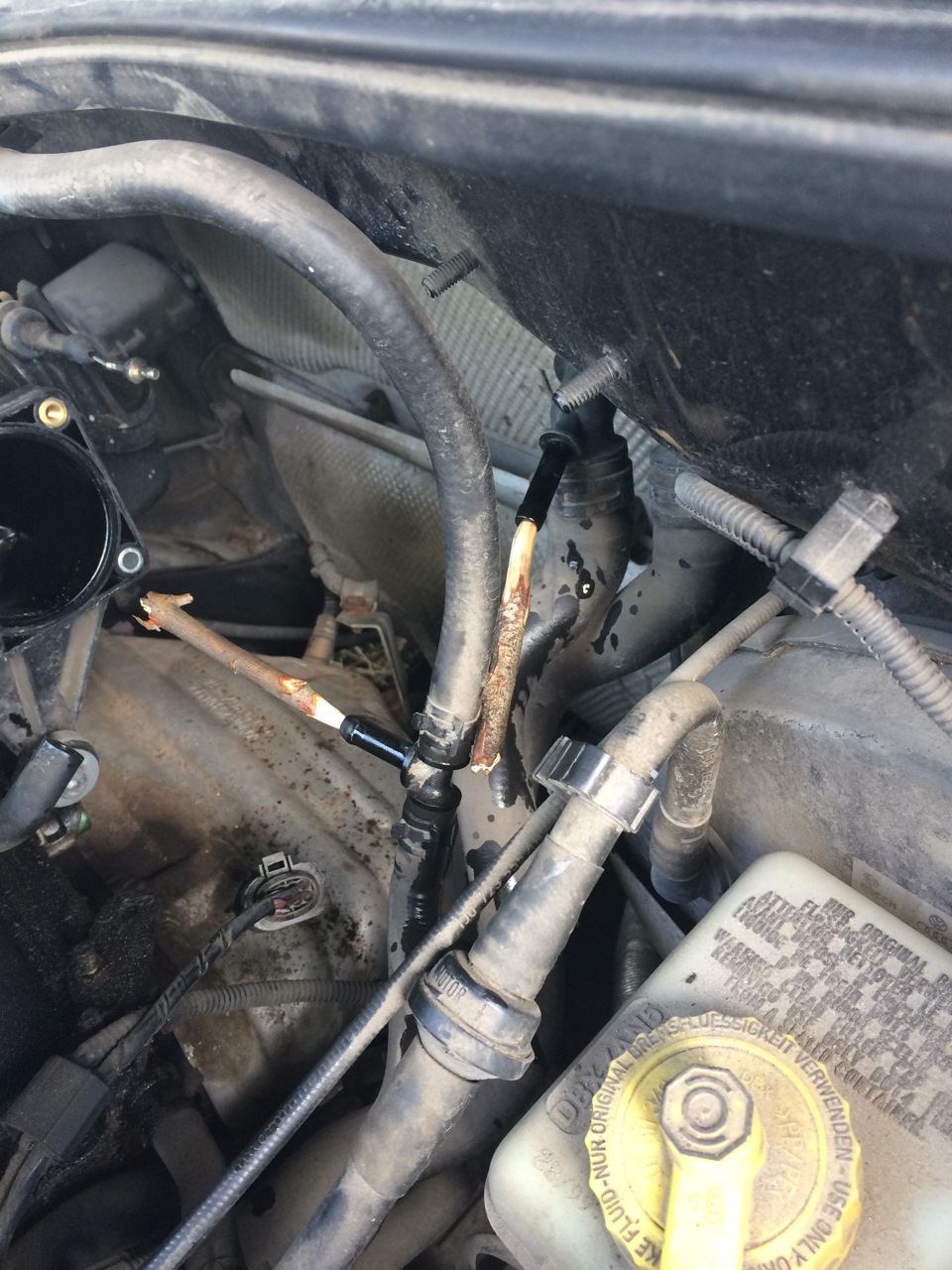 Чистка дроссельной заслонки двигателя AKL 1.6 — Volkswagen Golf Mk4, 1 ...