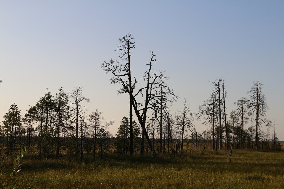 Karelia 2014 Day 1 Broken