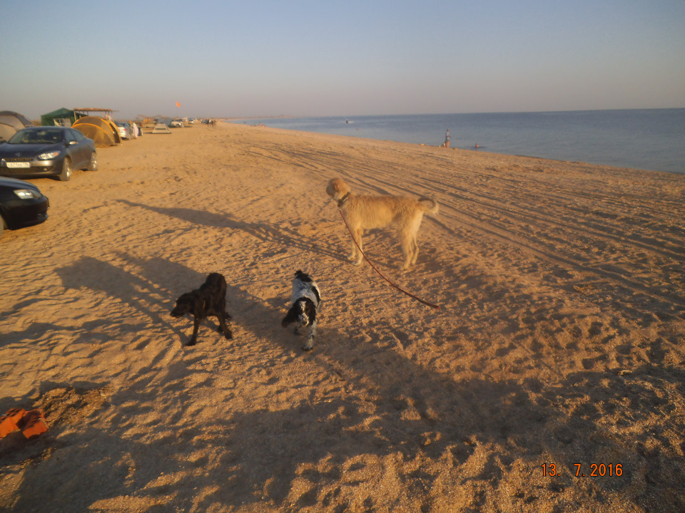 Фото в бортжурнале Subaru Legacy (BL/BP). Запчасти на фото: 1372016