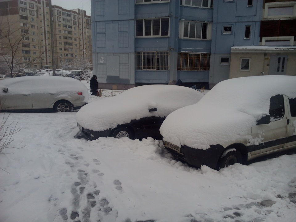 Зимняя резин псков шина