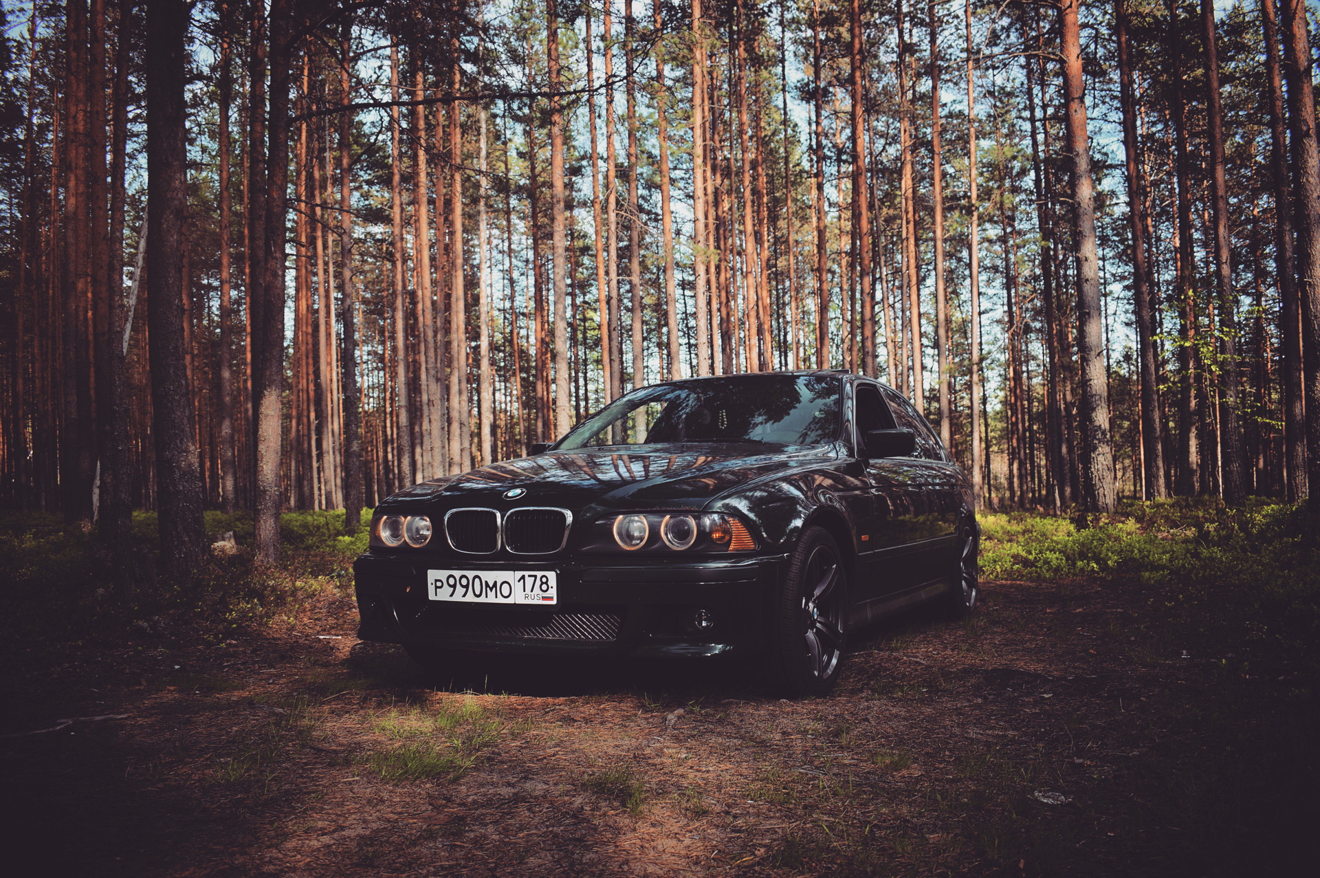 BMW e71 в лесу