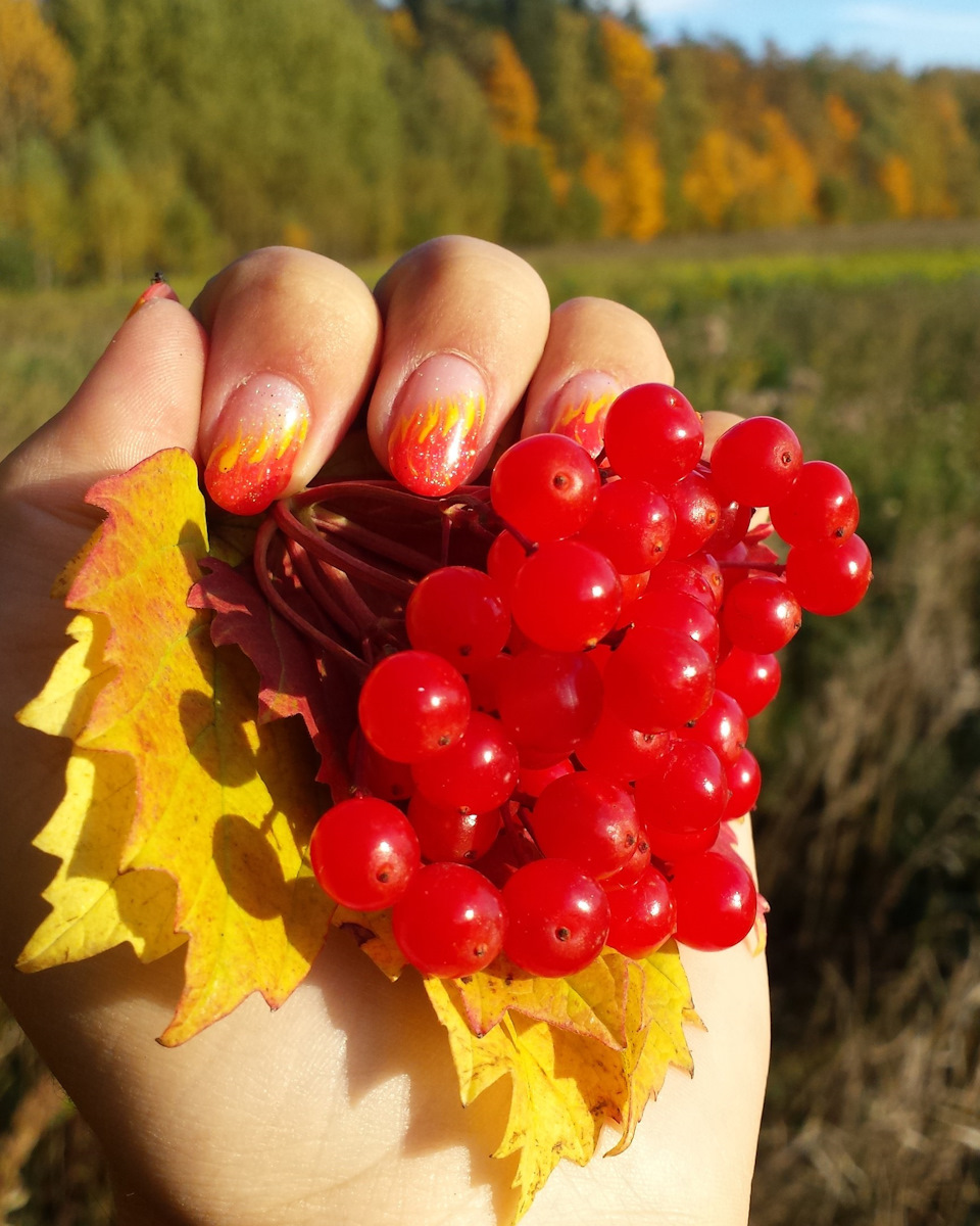 Фото в бортжурнале Subaru Impreza WRX (GD/GG)