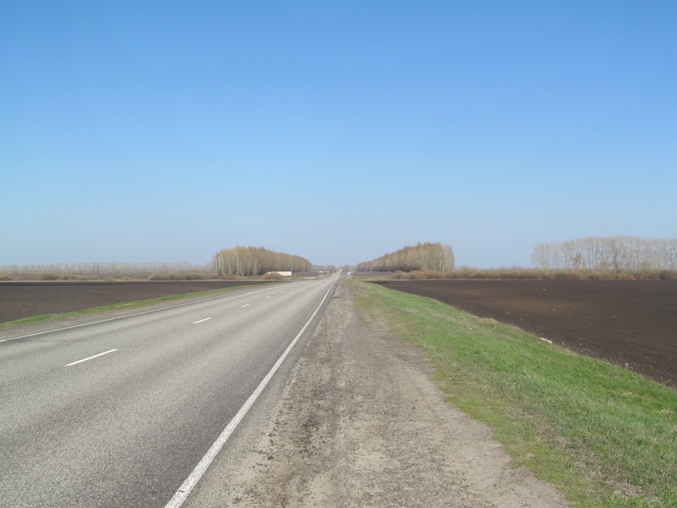 Лесополосы из берёз удивительны для жителя Кубани — Hyundai i40