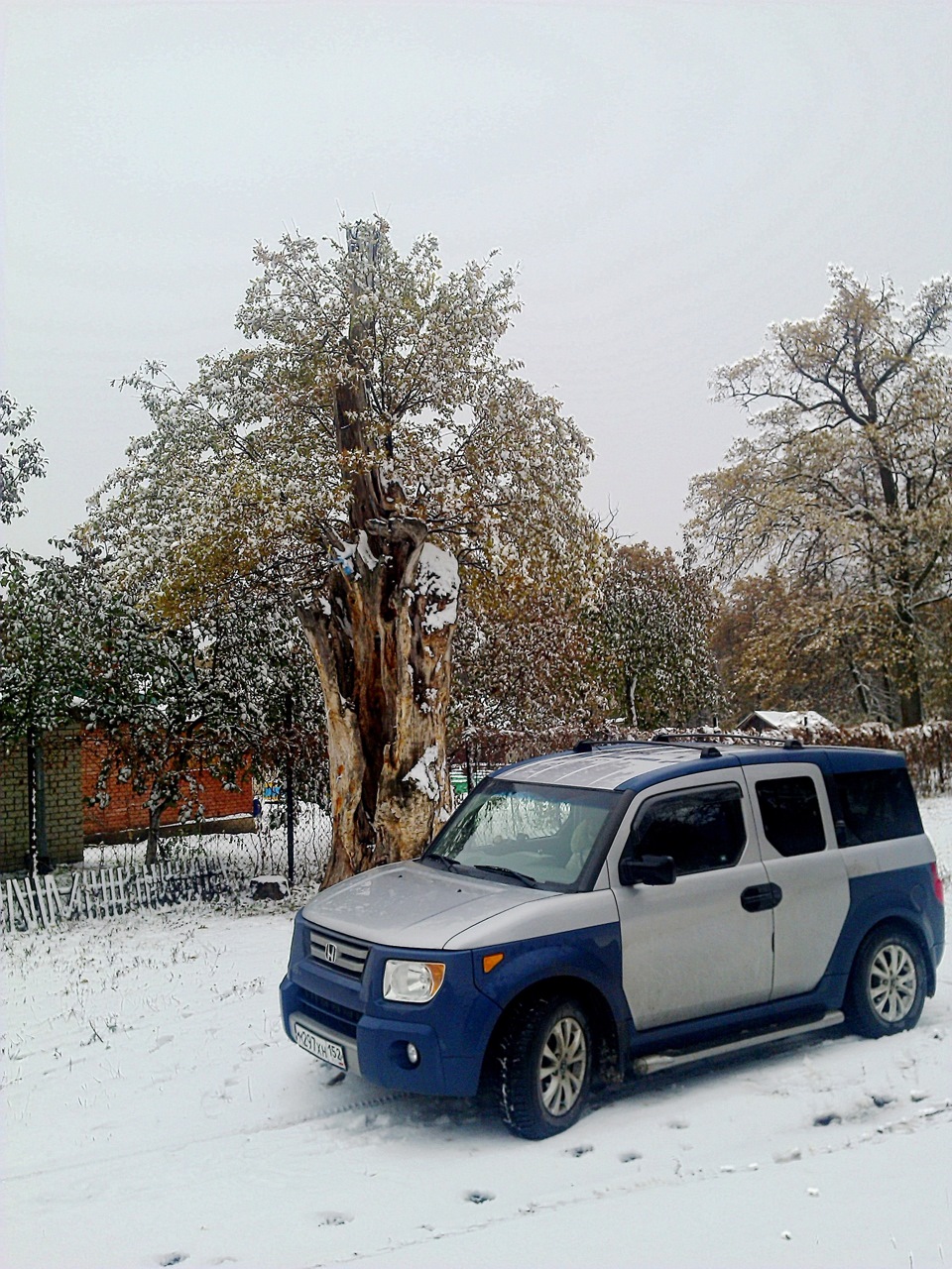 Дуб — Исполнитель желаний или наша поездка в Винновку — Honda Element, 2,4  л, 2005 года | путешествие | DRIVE2