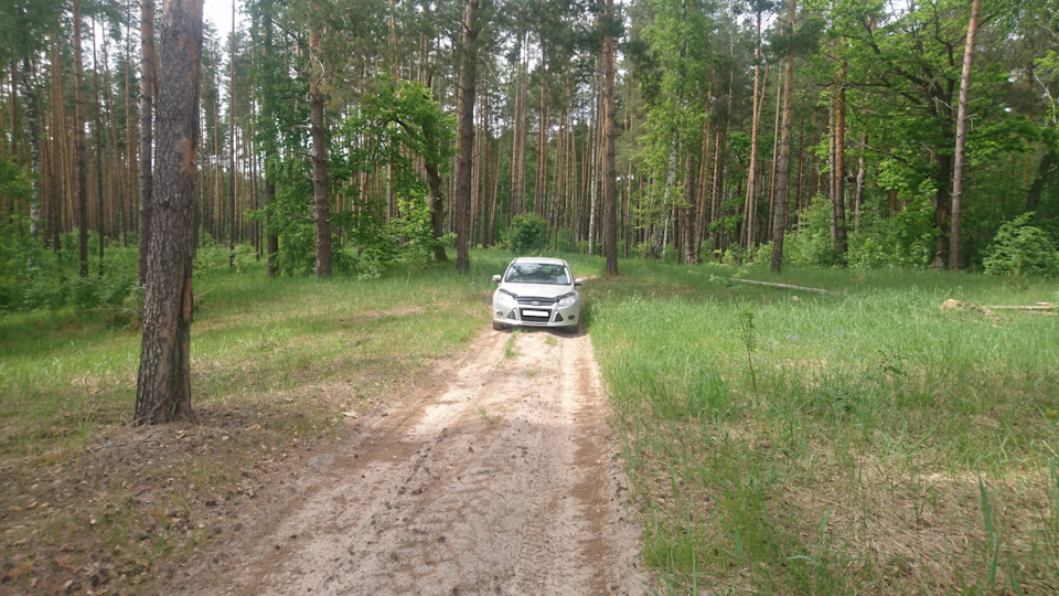 Задние пружины, какие поставить? — Ford Focus III Hatchback, 1,6 л ...