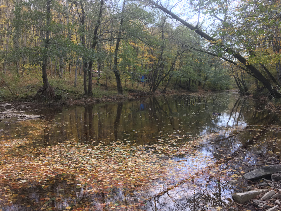 МТ резина и блокировки. Правильно это или нет? — УАЗ Patriot, 2,7 л ...