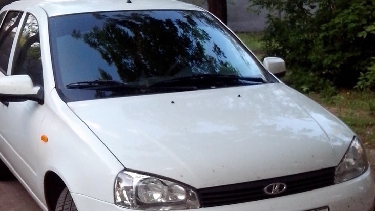 стойки в цвет — Lada Калина Универсал (1G), 1,6 л, 2013 года ...