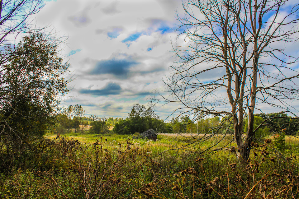 Фото в бортжурнале Jeep Cherokee (XJ)
