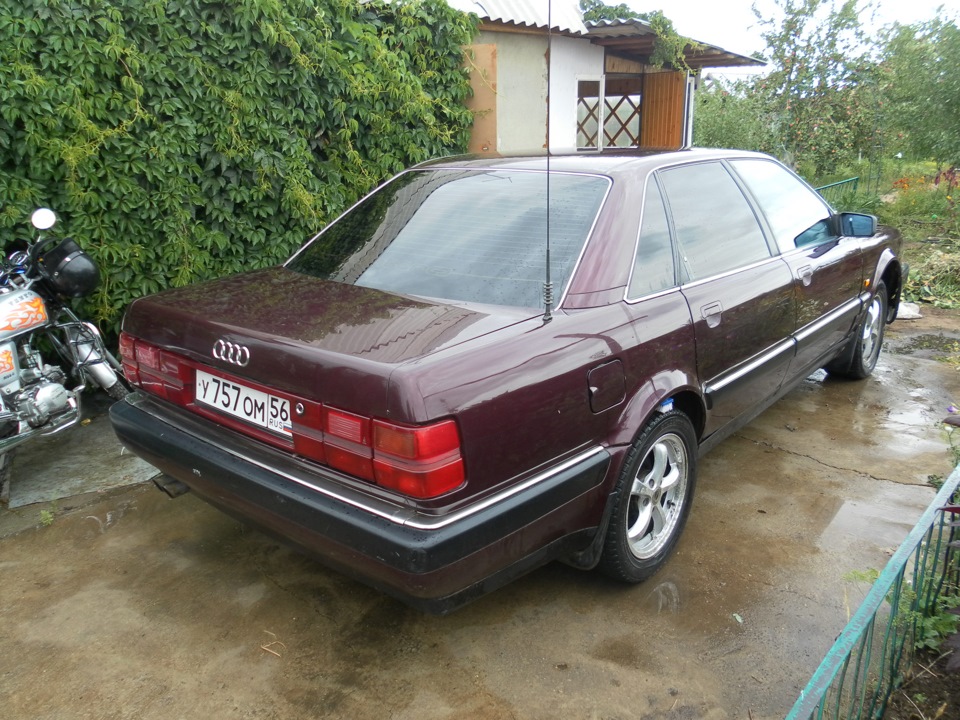 Вот, в первый раз помыл свою красотку) — Audi V8, 2,3 л, 1992 года ...