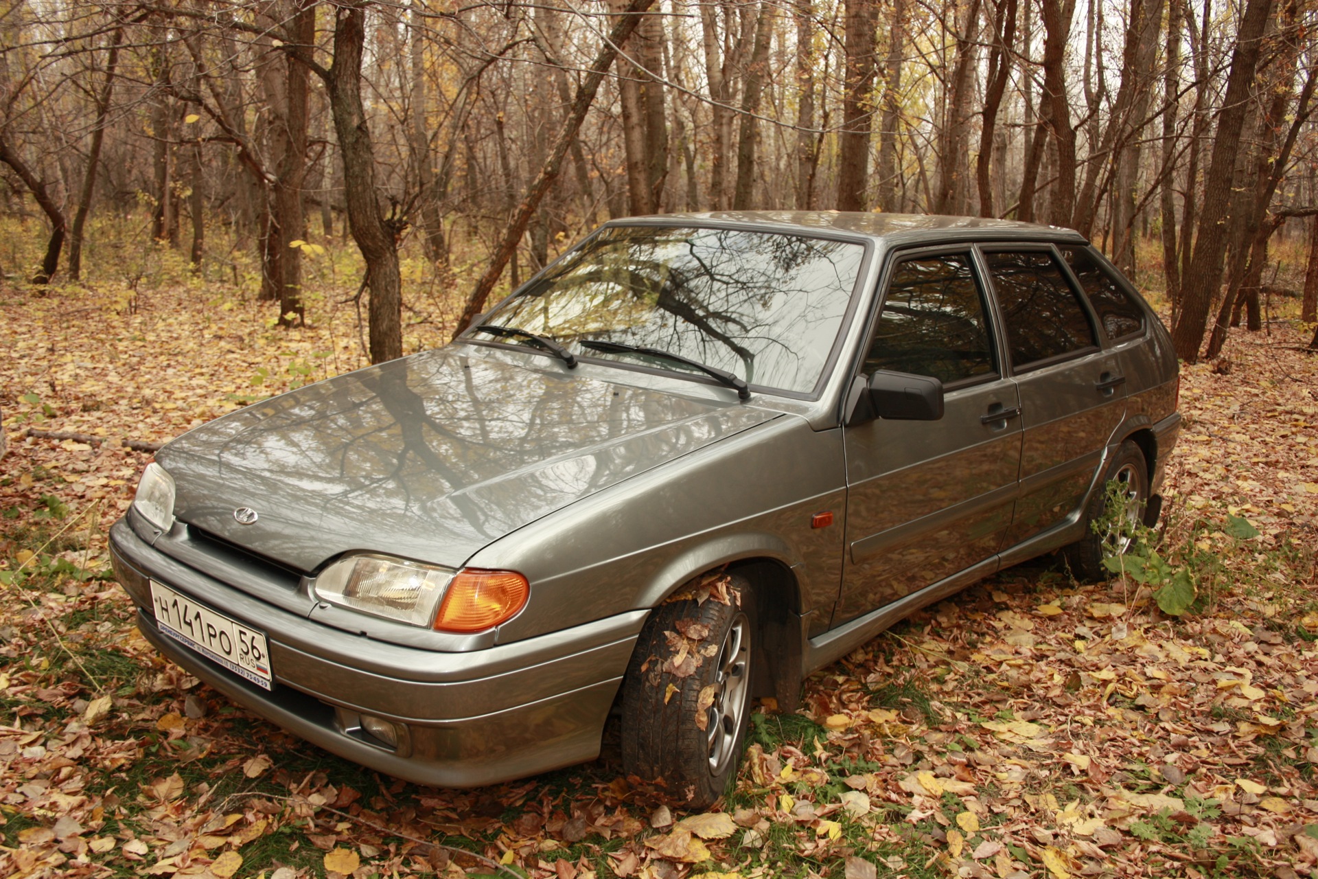 осенние фотографии и смена колес — Lada 2114, 1,6 л, 2010 года | фотография  | DRIVE2