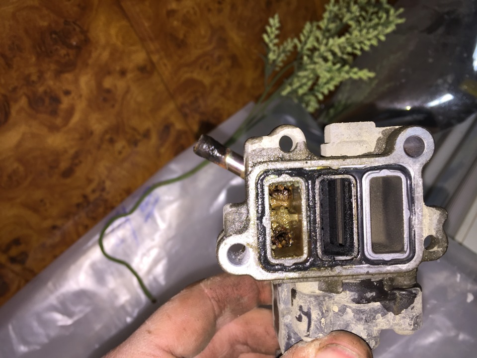 веселые истории журнал расскажет наш. 1685486s 960. веселые истории журнал расскажет наш фото. веселые истории журнал расскажет наш-1685486s 960. картинка веселые истории журнал расскажет наш. картинка 1685486s 960. вот откуда выражение "цветёт и пахнет"! веселые истории журнал расскажет наш. 1685486s 960. веселые истории журнал расскажет наш фото. веселые истории журнал расскажет наш-1685486s 960. картинка веселые истории журнал расскажет наш. картинка 1685486s 960. вот откуда выражение "цветёт и пахнет"!